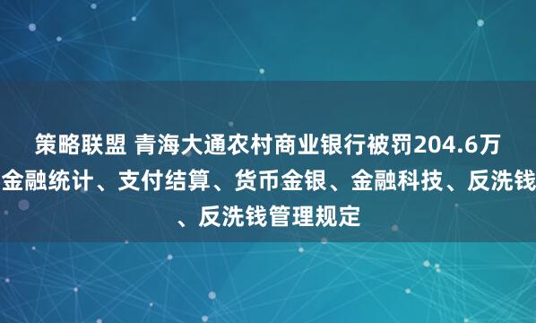 策略联盟 青海大通农村商业银行被罚204.6万元：违反金融统计、支付结算、货币金银、金融科技、反洗钱管理规定