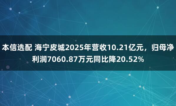 本信选配 海宁皮城2025年营收10.21亿元，归母净利润7060.87万元同比降20.52%